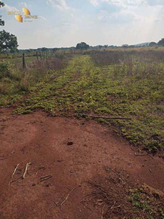 Farm of 3,039 acres in Jangada, MT, Brazil