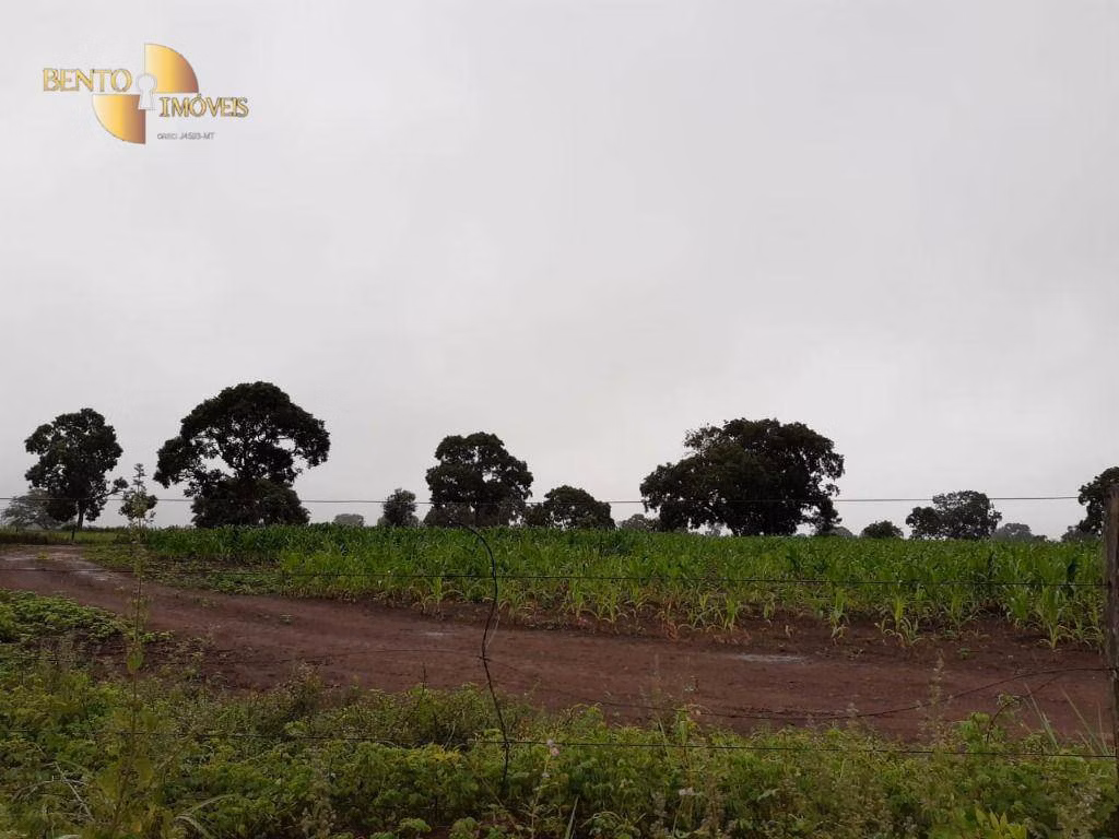 Farm of 3,039 acres in Jangada, MT, Brazil