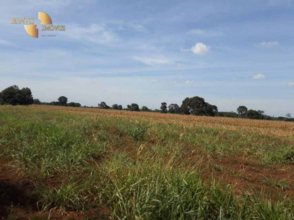 Farm of 3,039 acres in Jangada, MT, Brazil