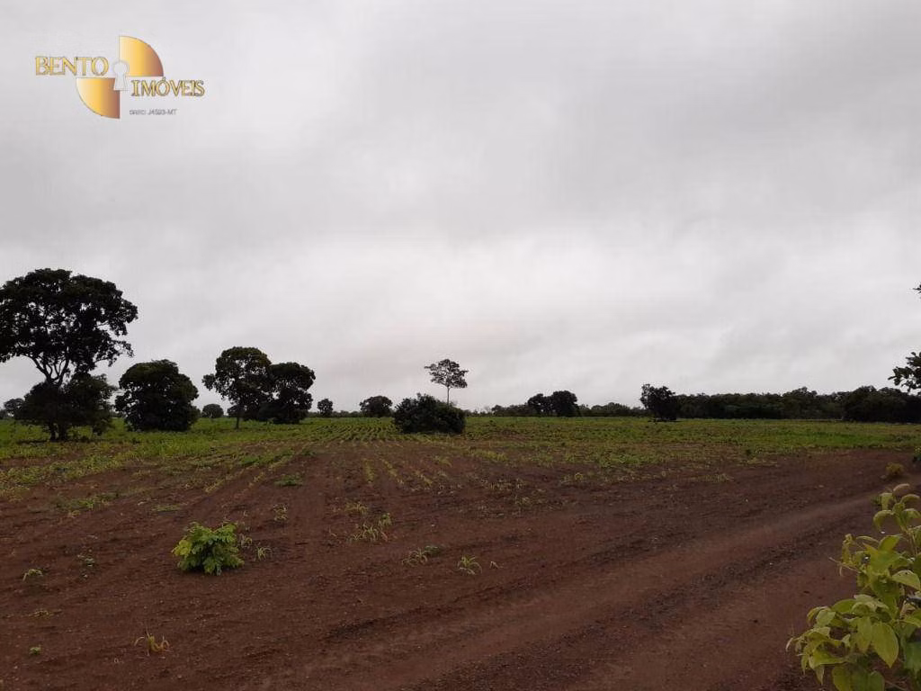 Farm of 3,039 acres in Jangada, MT, Brazil