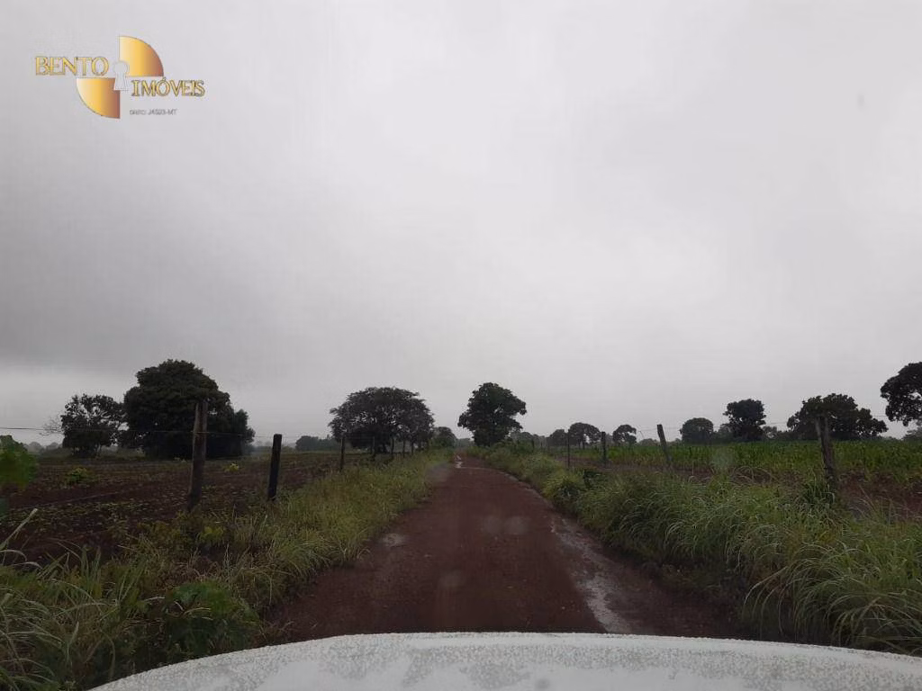 Farm of 3.039 acres in Jangada, MT, Brazil