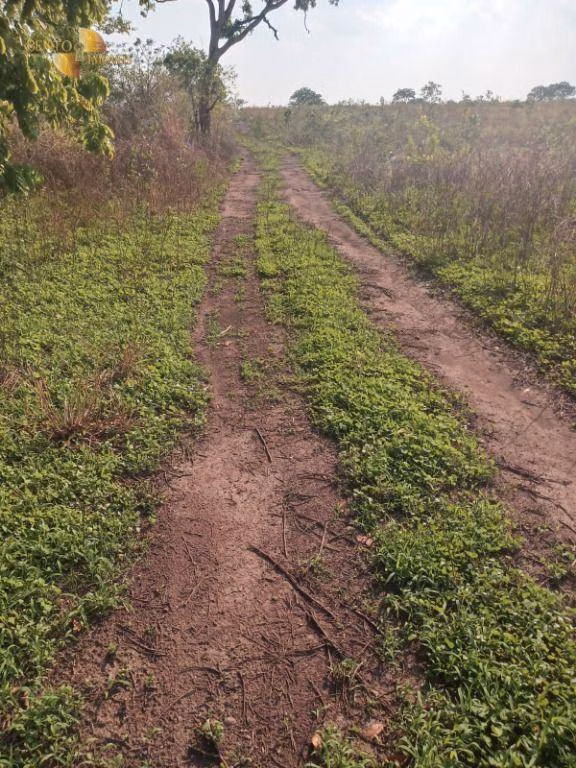 Farm of 3,039 acres in Jangada, MT, Brazil