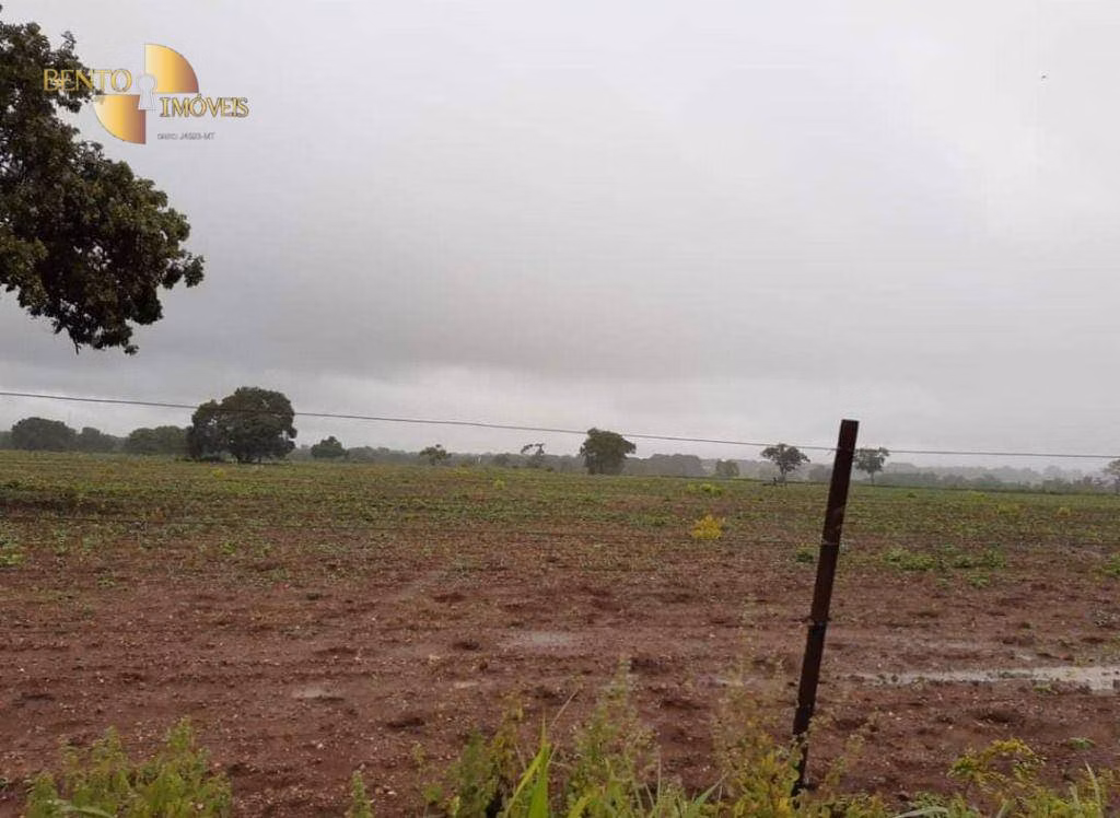 Farm of 3,039 acres in Jangada, MT, Brazil