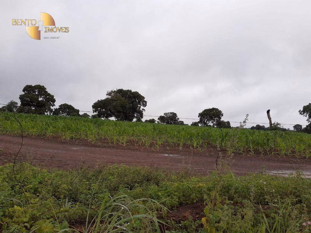 Farm of 3.039 acres in Jangada, MT, Brazil