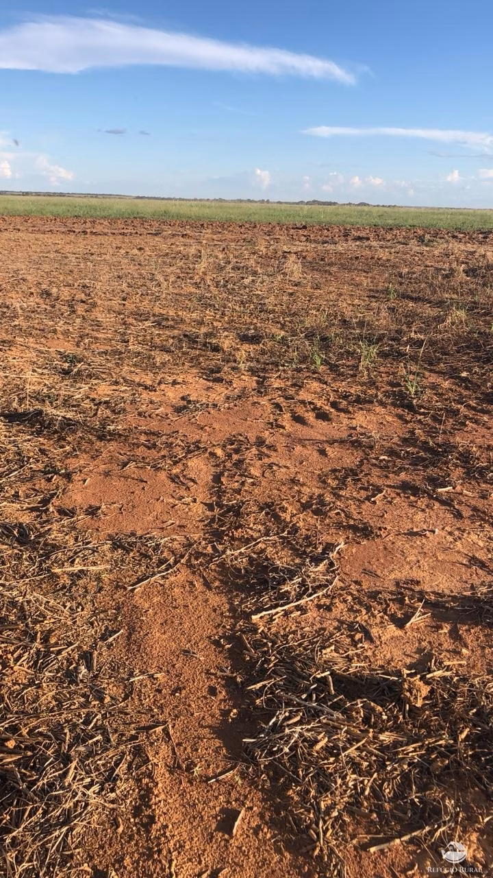 Fazenda de 3.678 ha em Gurupi, TO
