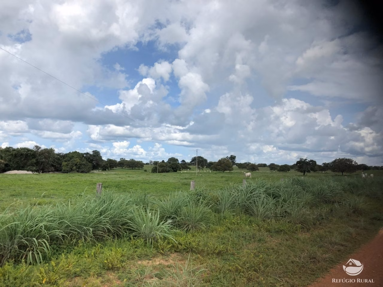 Fazenda de 3.678 ha em Gurupi, TO