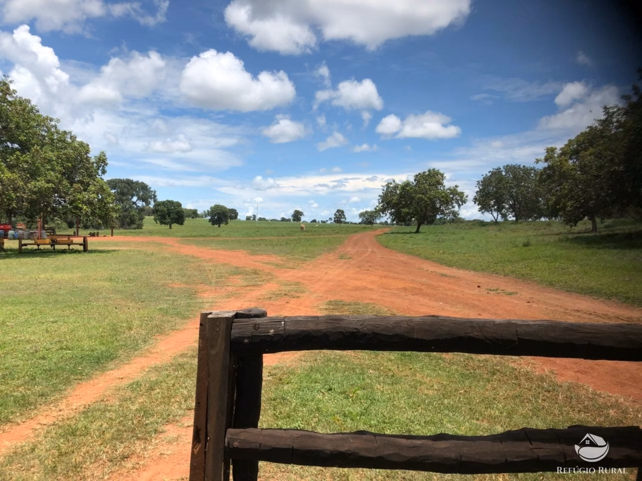 Fazenda de 3.678 ha em Gurupi, TO