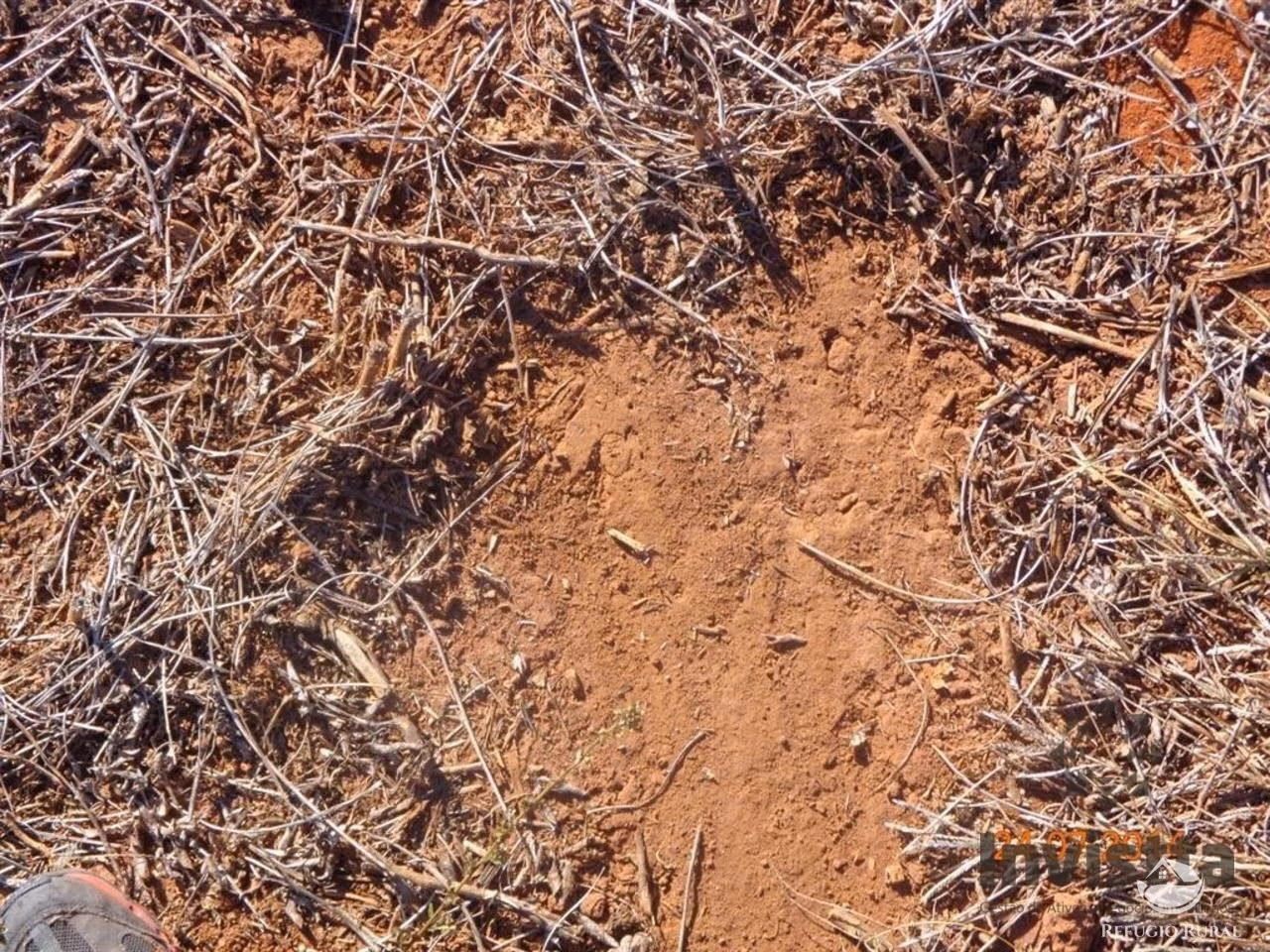 Farm of 9.089 acres in Gurupi, TO, Brazil