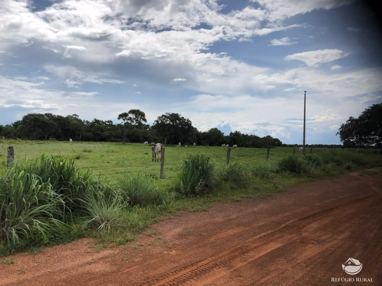 Fazenda de 3.678 ha em Gurupi, TO