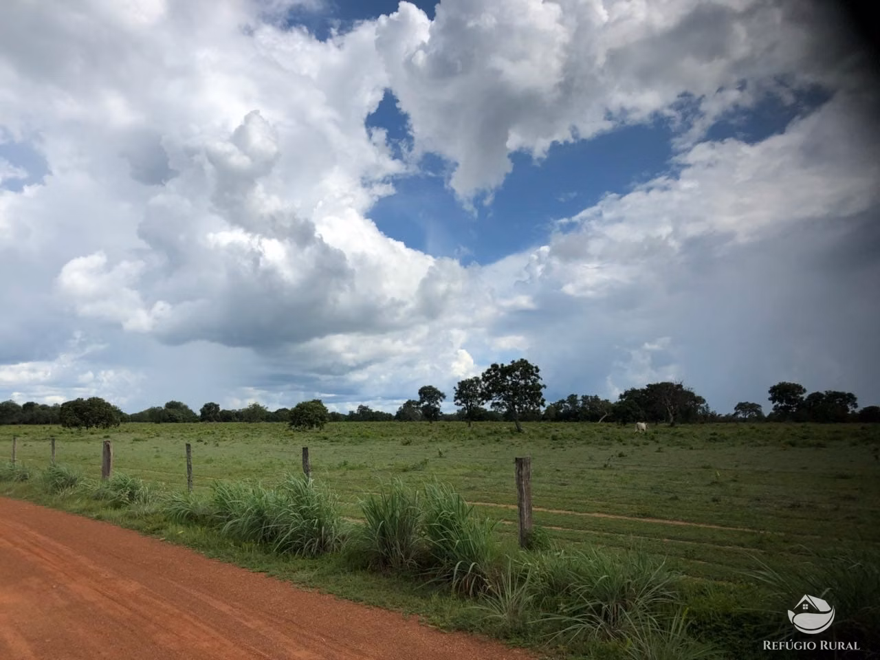 Fazenda de 3.678 ha em Gurupi, TO