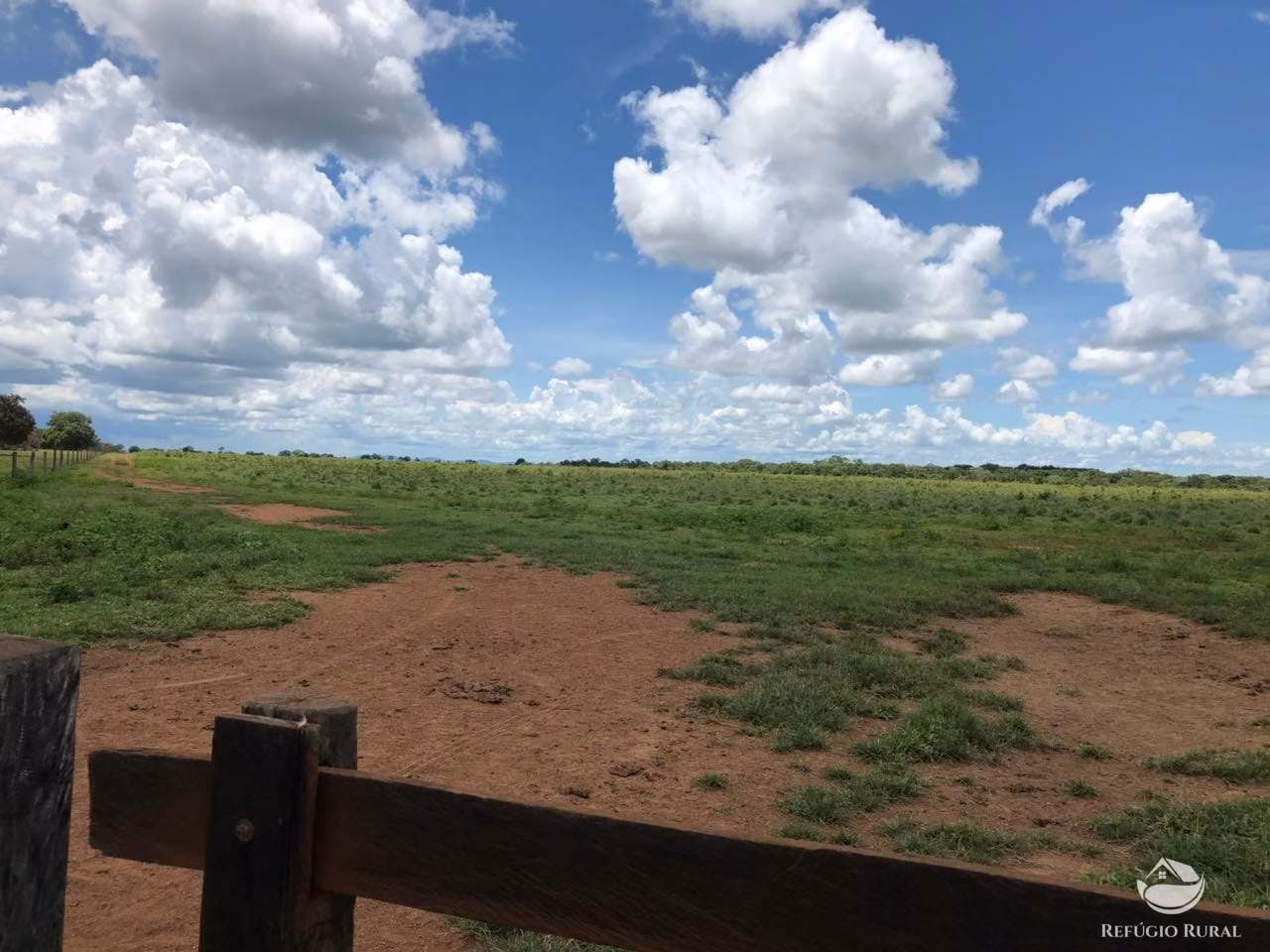 Fazenda de 3.678 ha em Gurupi, TO