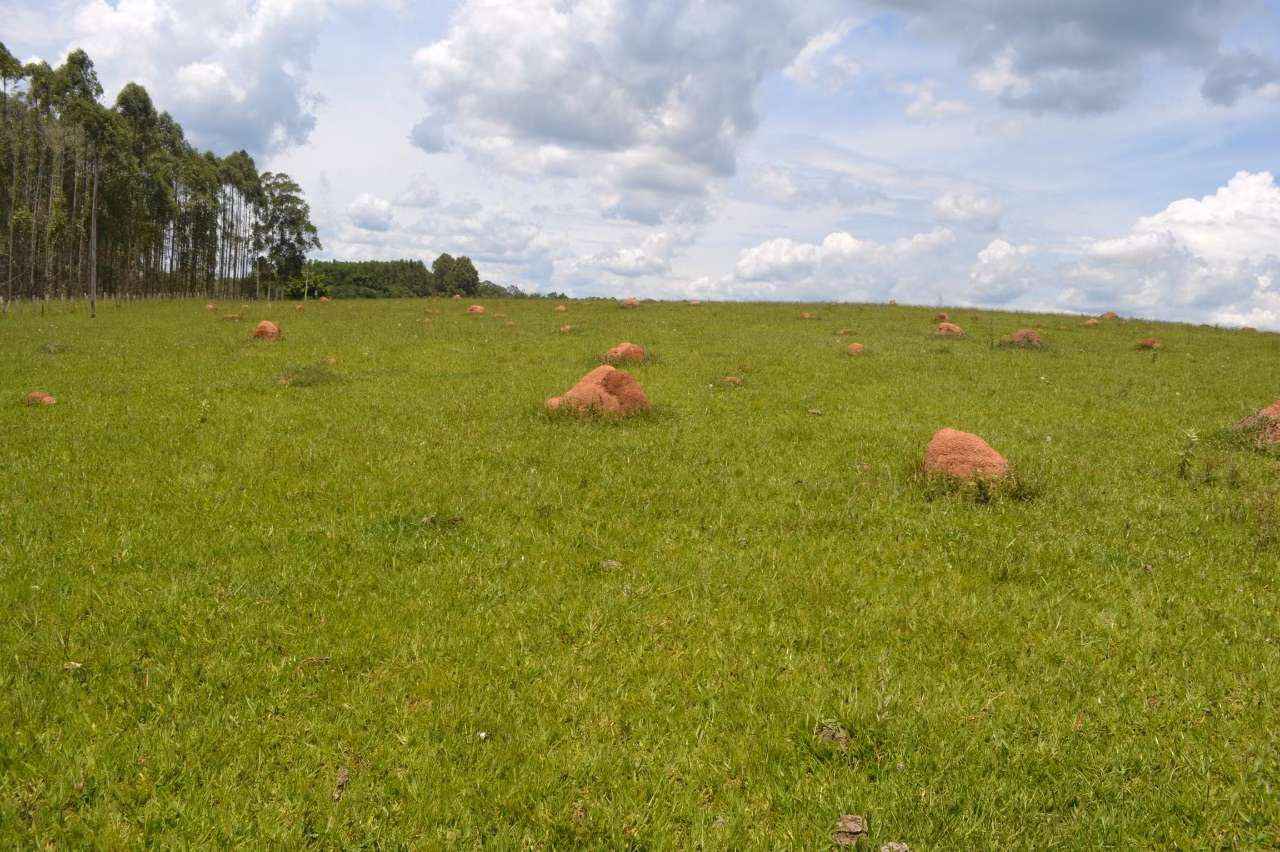 Fazenda de 387 ha em Sorocaba, SP