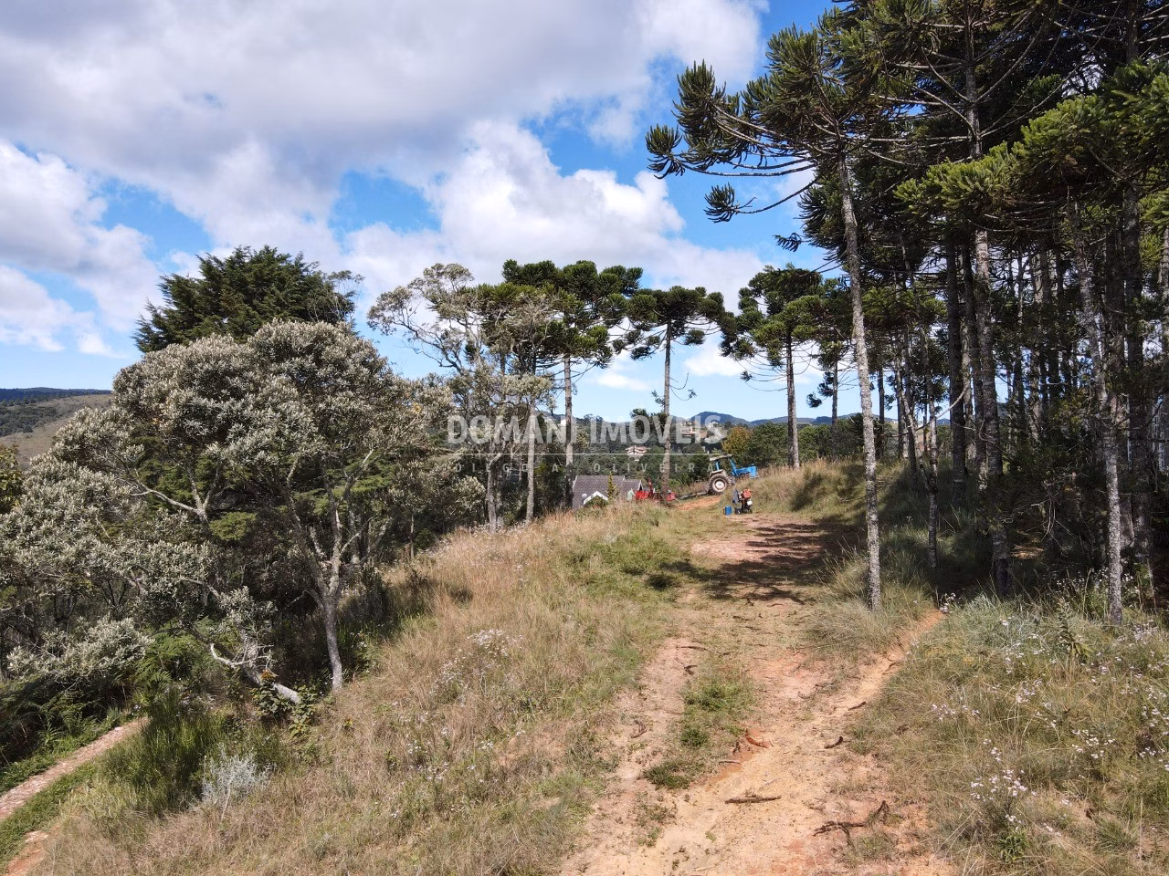 Plot of 2,420 m² in Campos do Jordão, SP, Brazil