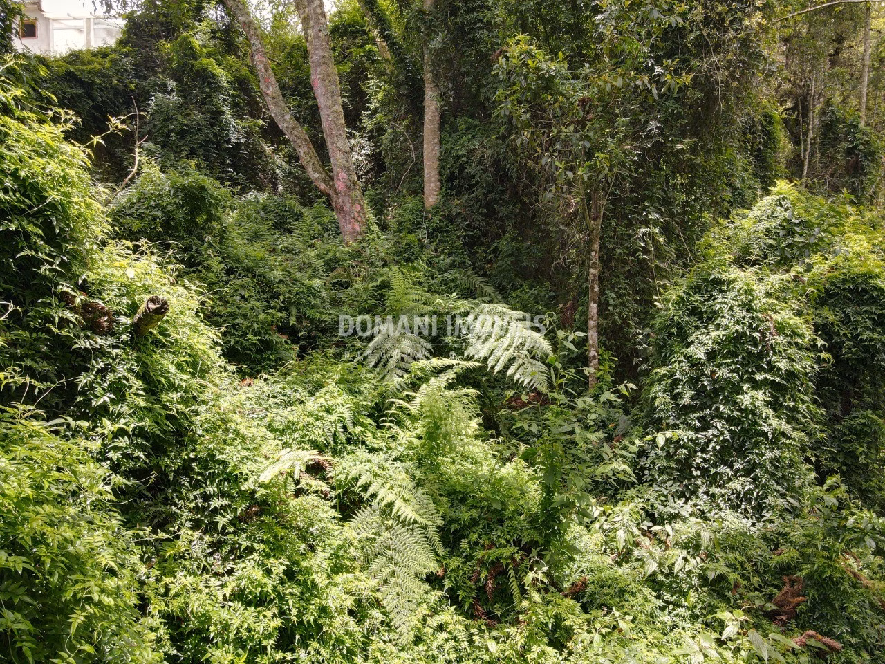 Plot of 2,130 m² in Campos do Jordão, SP, Brazil
