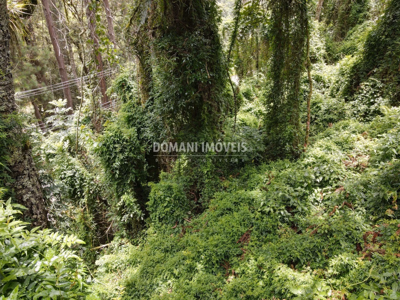 Plot of 2,130 m² in Campos do Jordão, SP, Brazil
