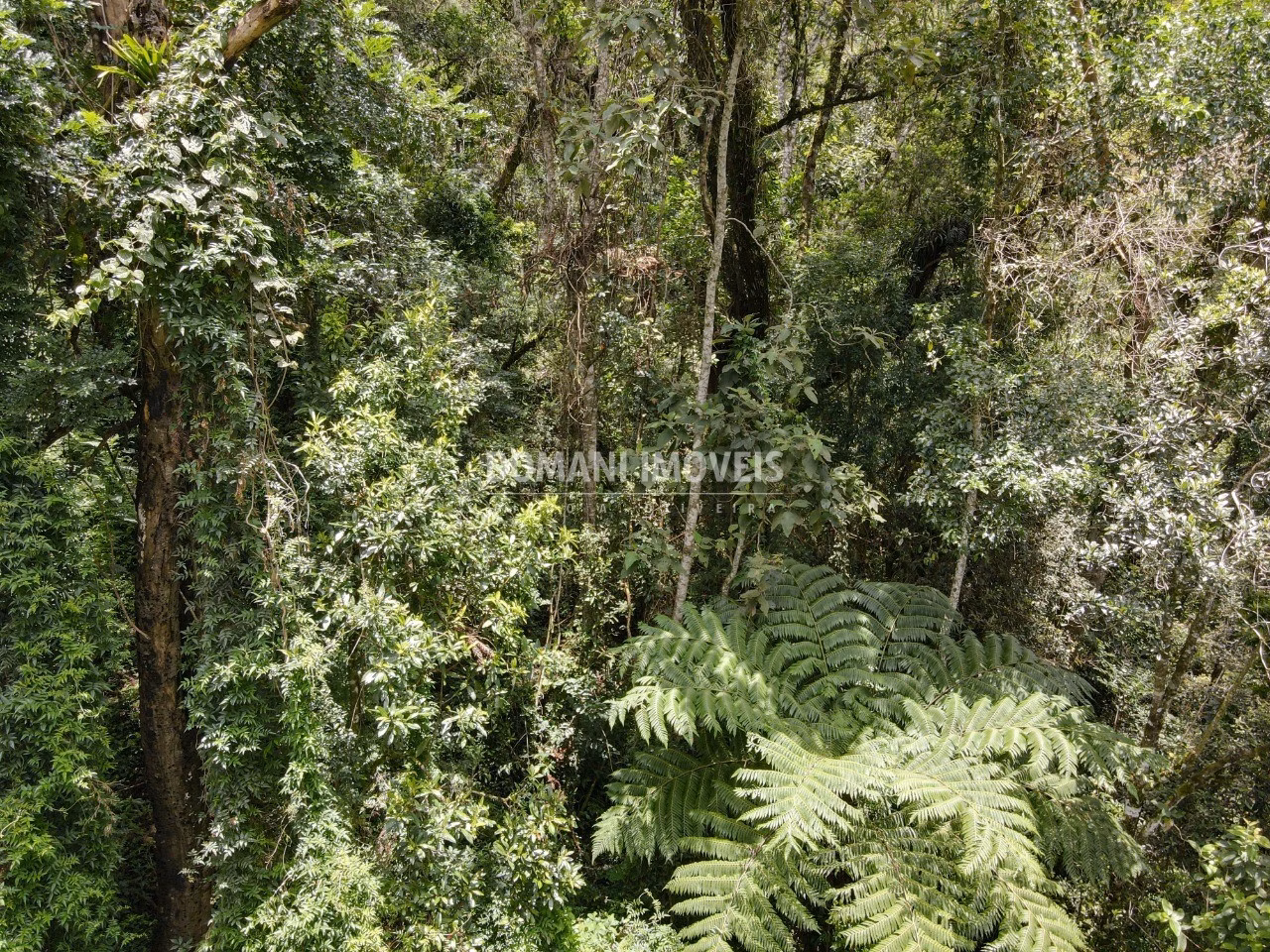 Plot of 2,130 m² in Campos do Jordão, SP, Brazil