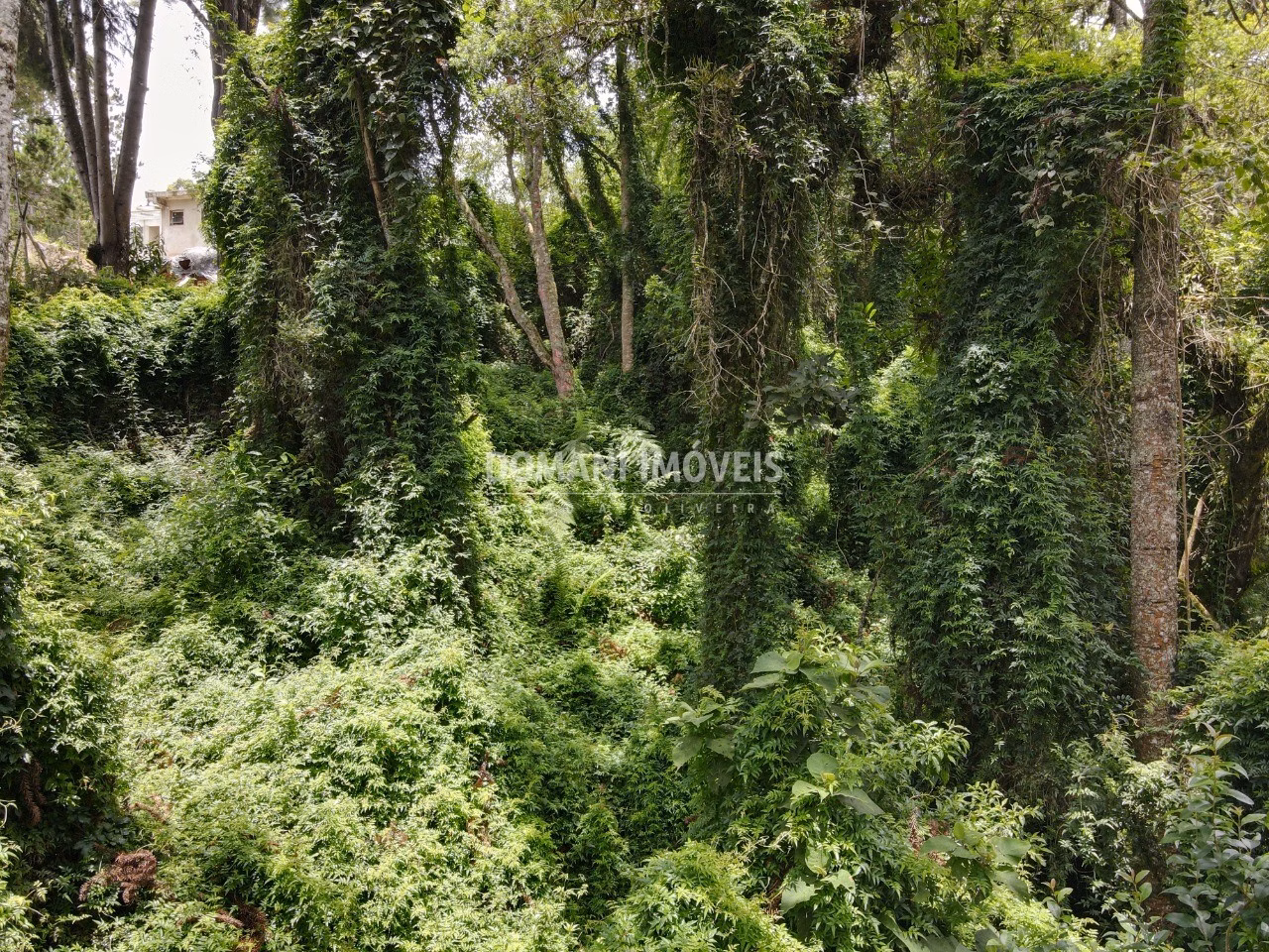 Plot of 2,130 m² in Campos do Jordão, SP, Brazil
