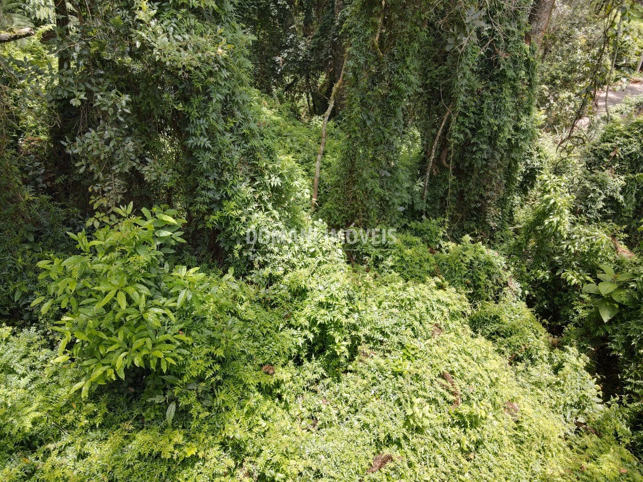 Plot of 2,130 m² in Campos do Jordão, SP, Brazil