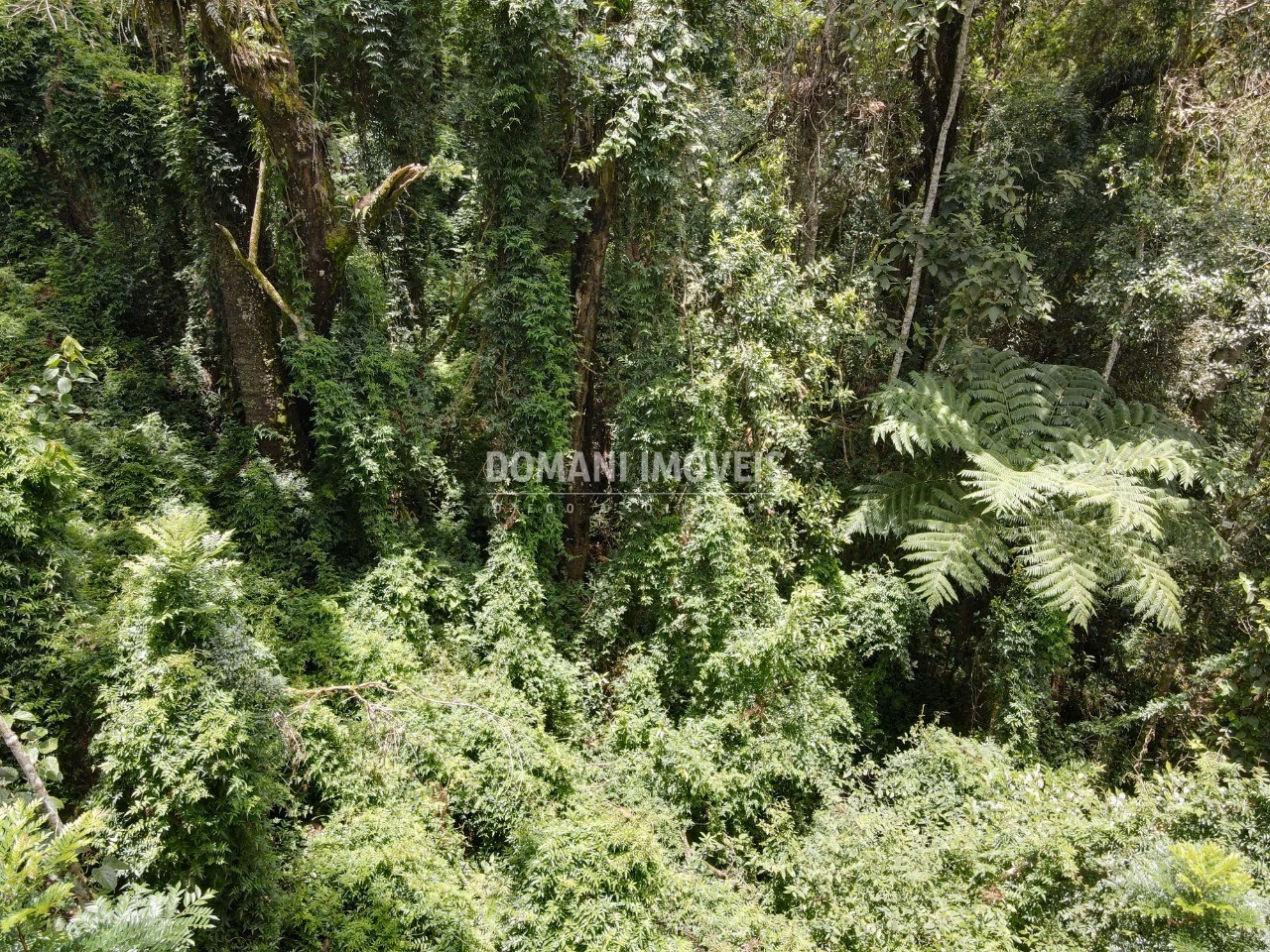 Plot of 2,130 m² in Campos do Jordão, SP, Brazil