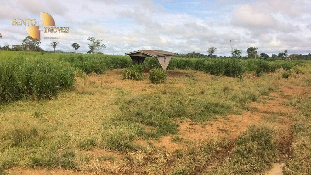 Fazenda de 1.089 ha em Nova Bandeirantes, MT