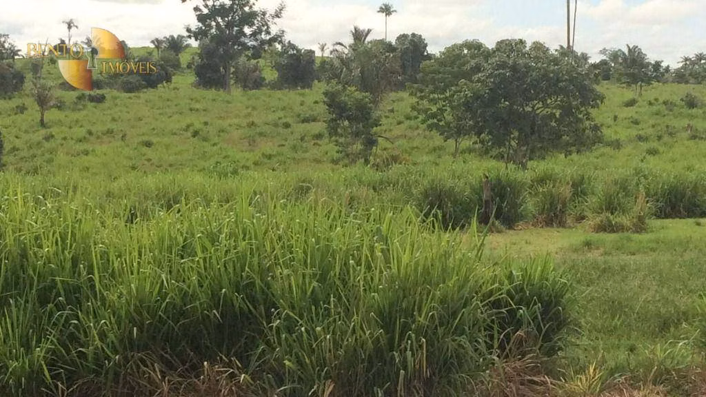Fazenda de 1.089 ha em Nova Bandeirantes, MT