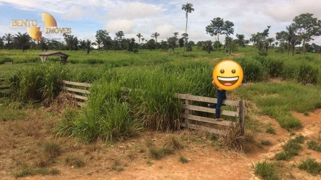 Fazenda de 1.089 ha em Nova Bandeirantes, MT