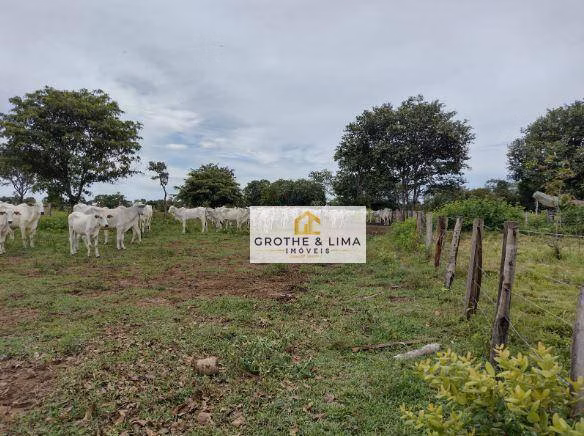 Fazenda de 847 ha em Cocalinho, MT