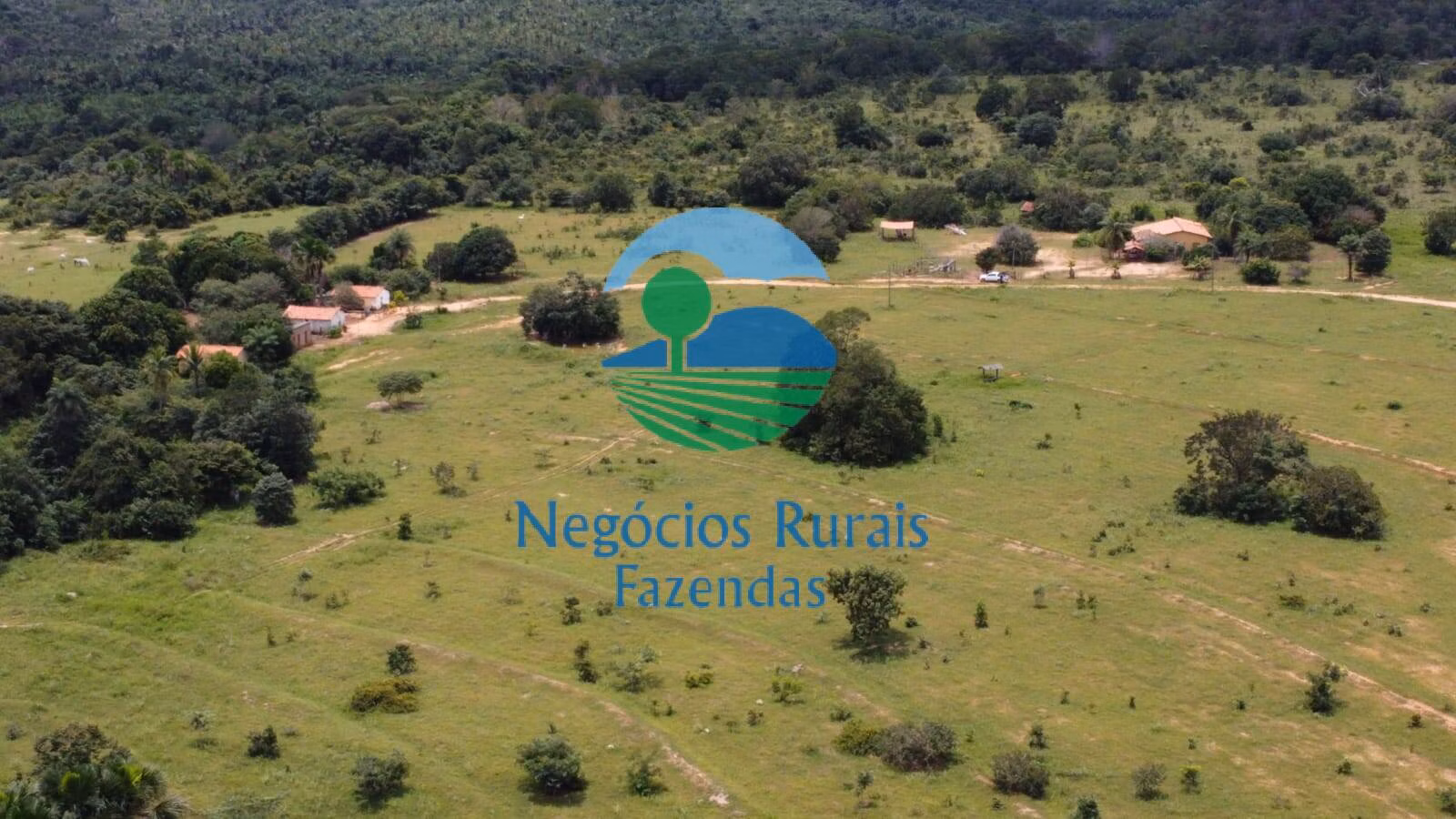 Farm of 11.023 acres in Goiatins, TO, Brazil