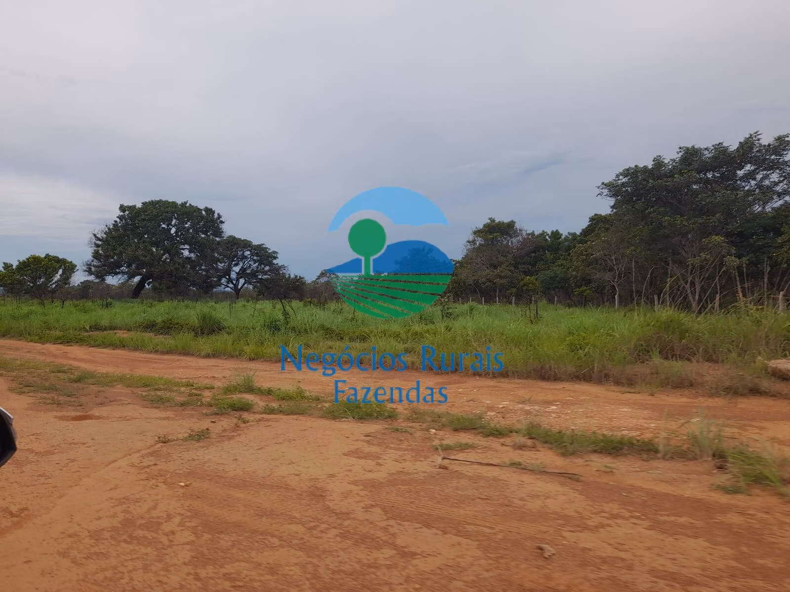 Farm of 11.023 acres in Goiatins, TO, Brazil
