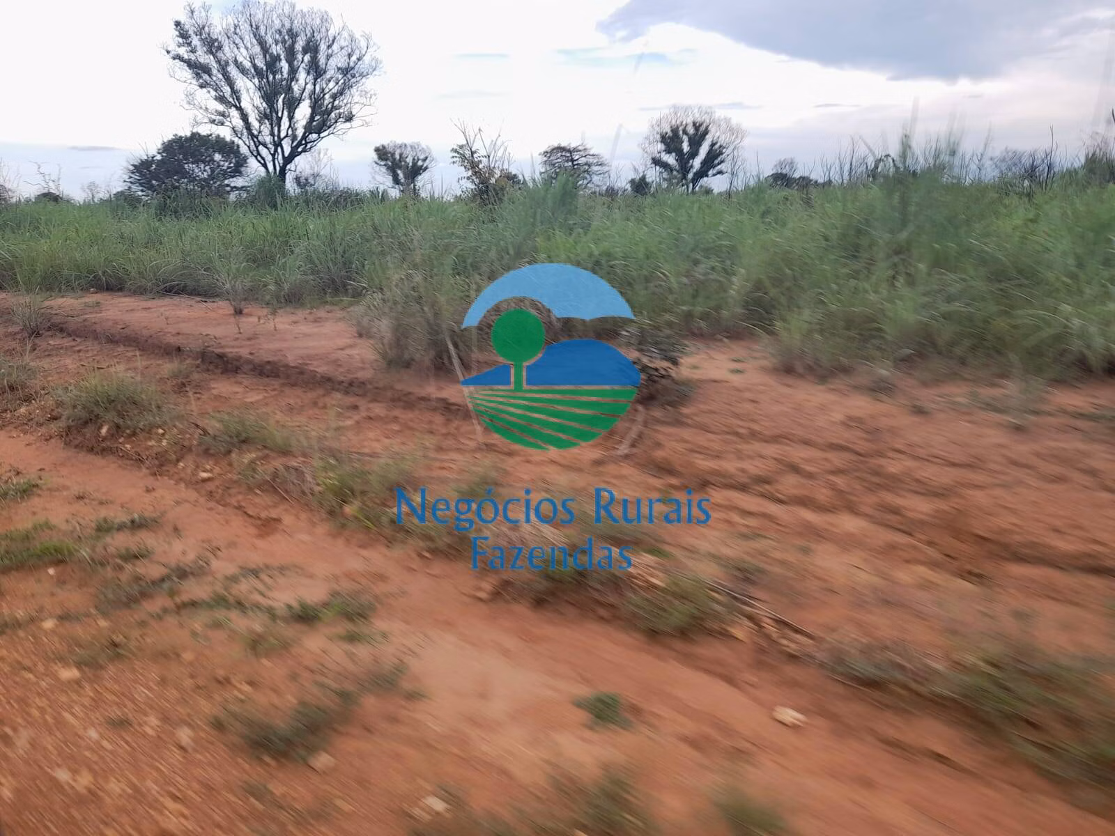Fazenda de 4.461 ha em Goiatins, TO