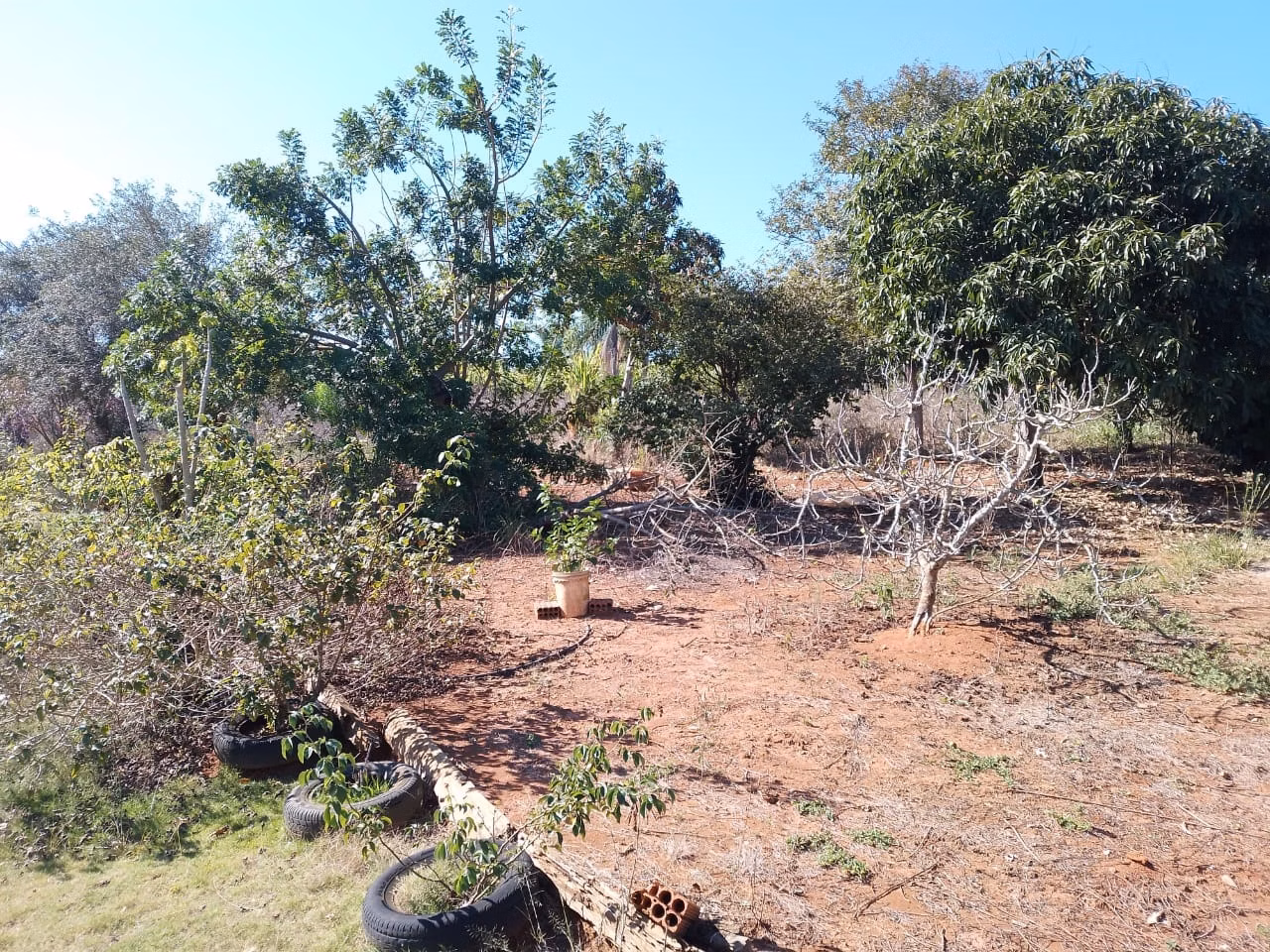 Country home of 6 acres in Angatuba, SP, Brazil