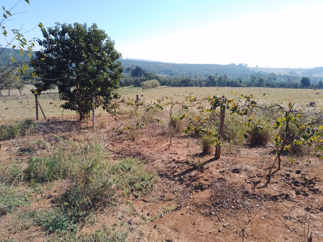 Country home of 6 acres in Angatuba, SP, Brazil