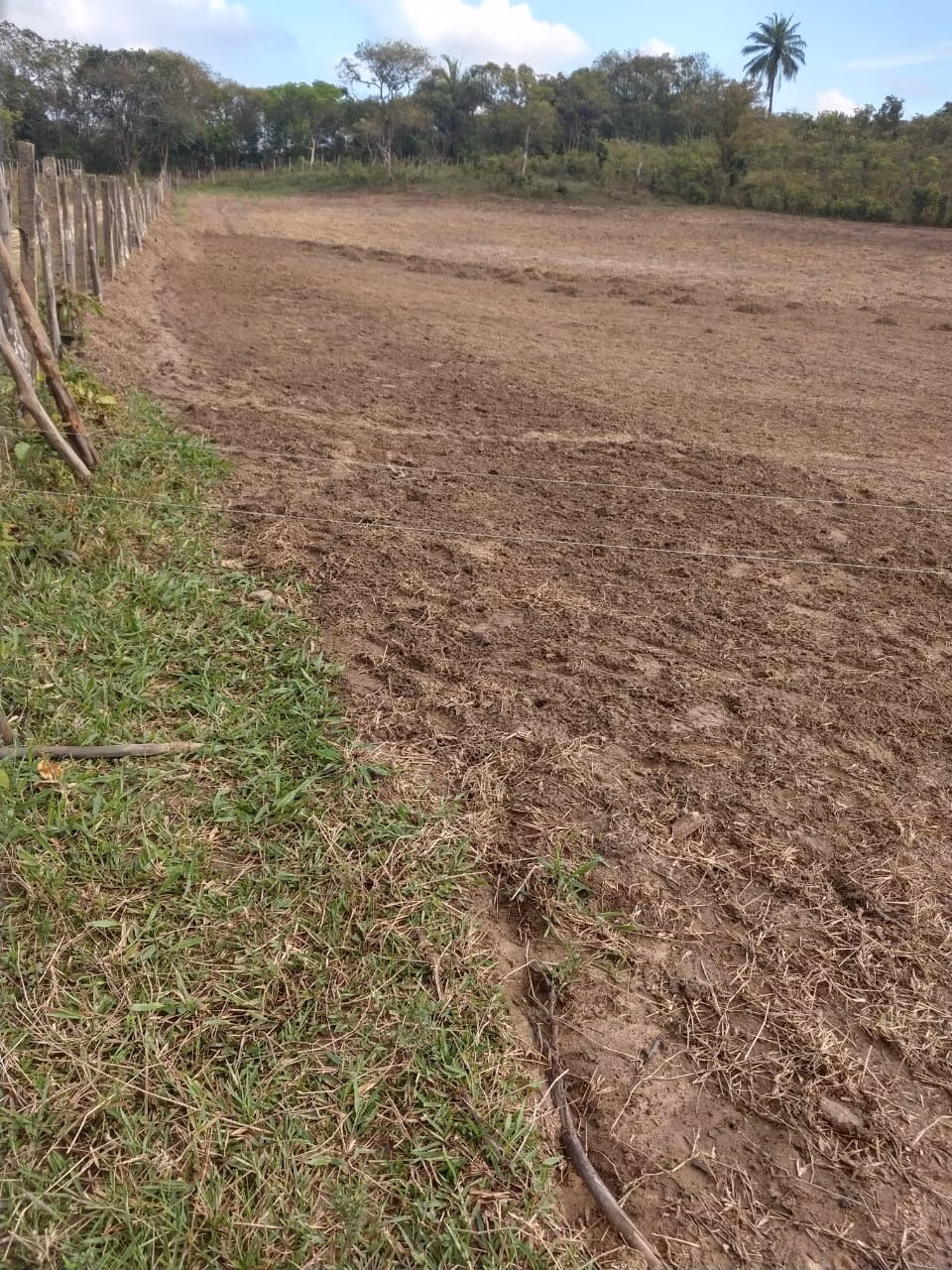 Sítio de 50 ha em Dias d'Ávila, BA