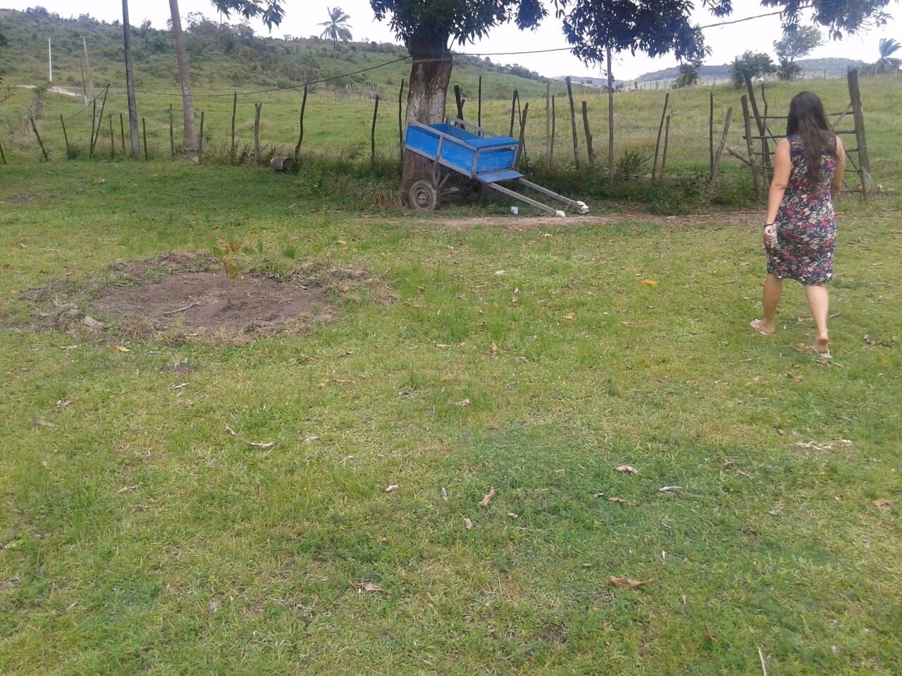 Sítio de 50 ha em Dias d'Ávila, BA