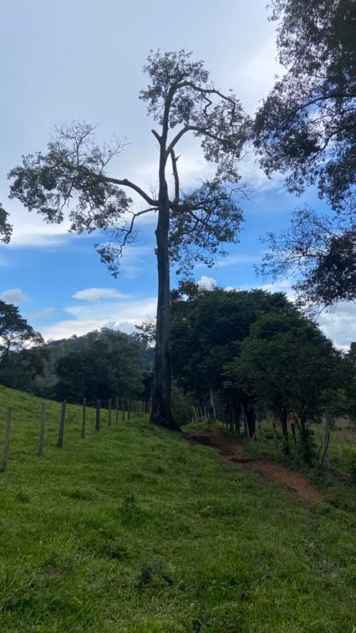 Fazenda de 190 ha em Carvalhos, MG