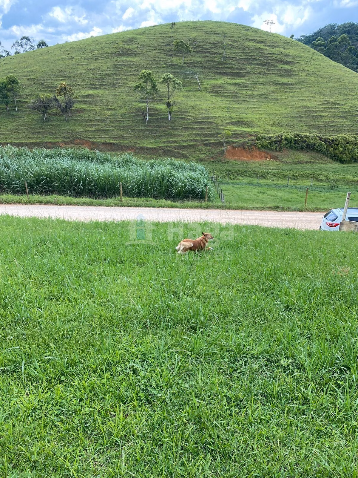 Plot of 375 m² in Itajaí, SC, Brazil