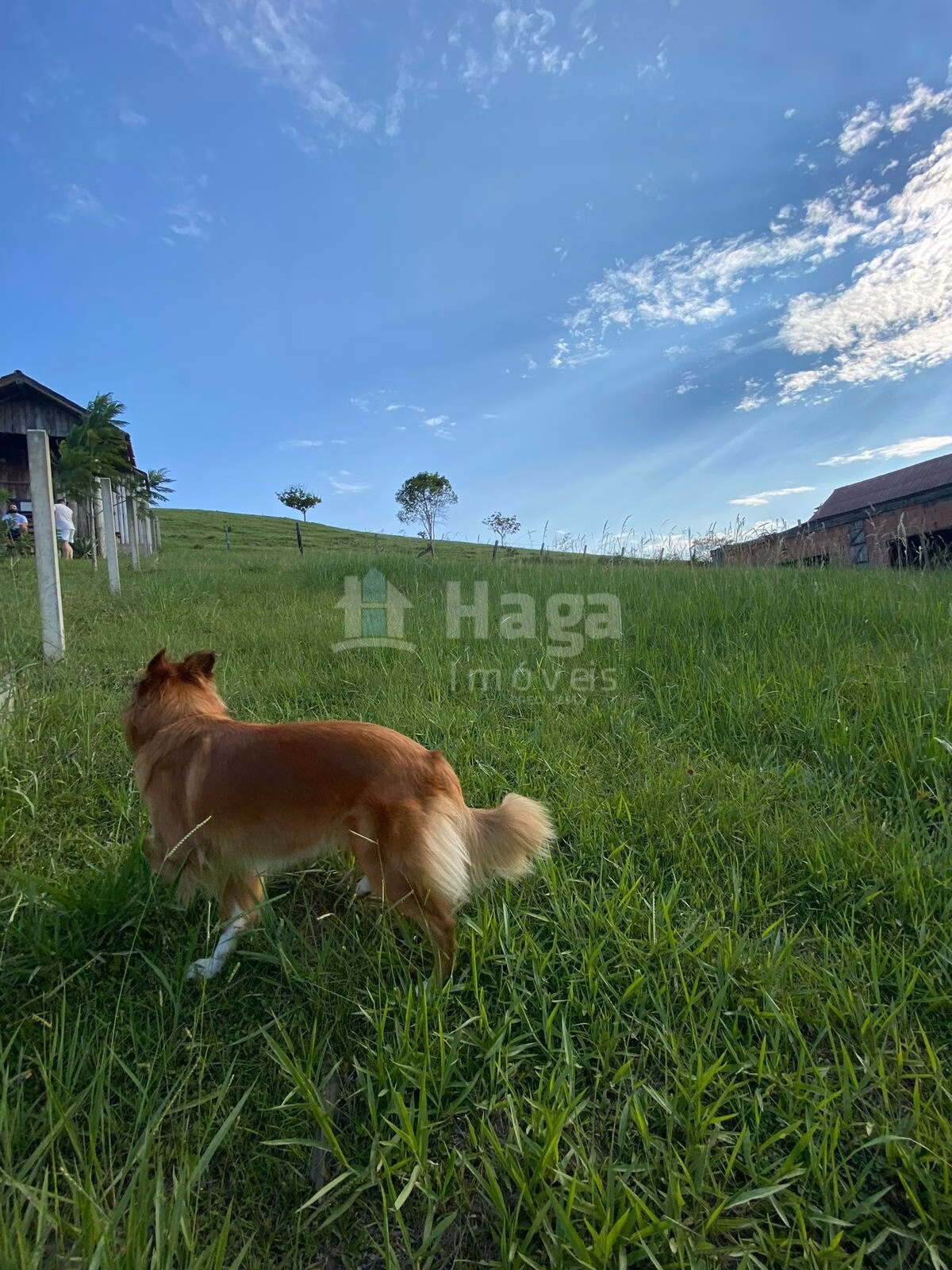 Terreno de 375 m² em Itajaí, SC