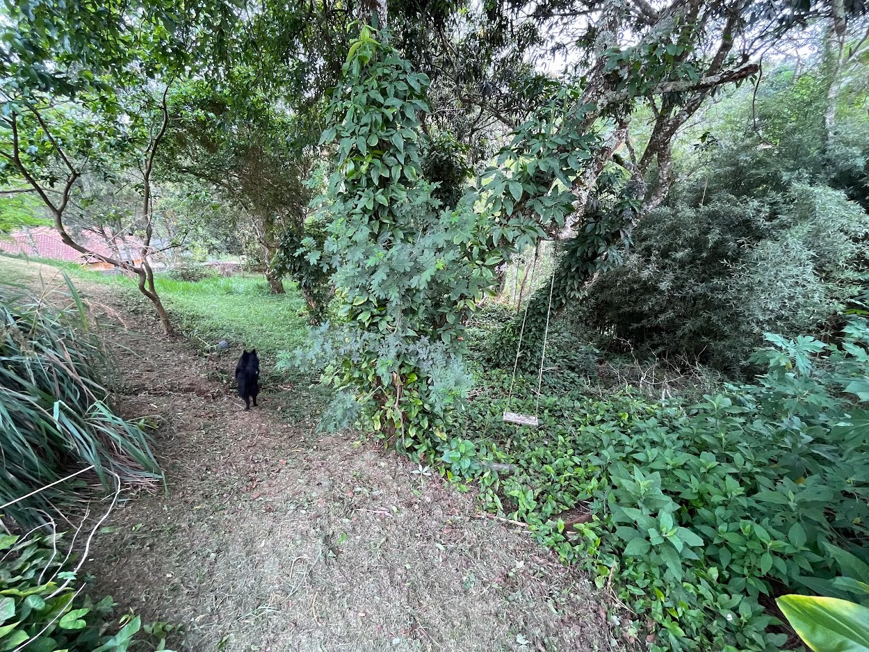 Chácara de 1 ha em São José dos Campos, SP