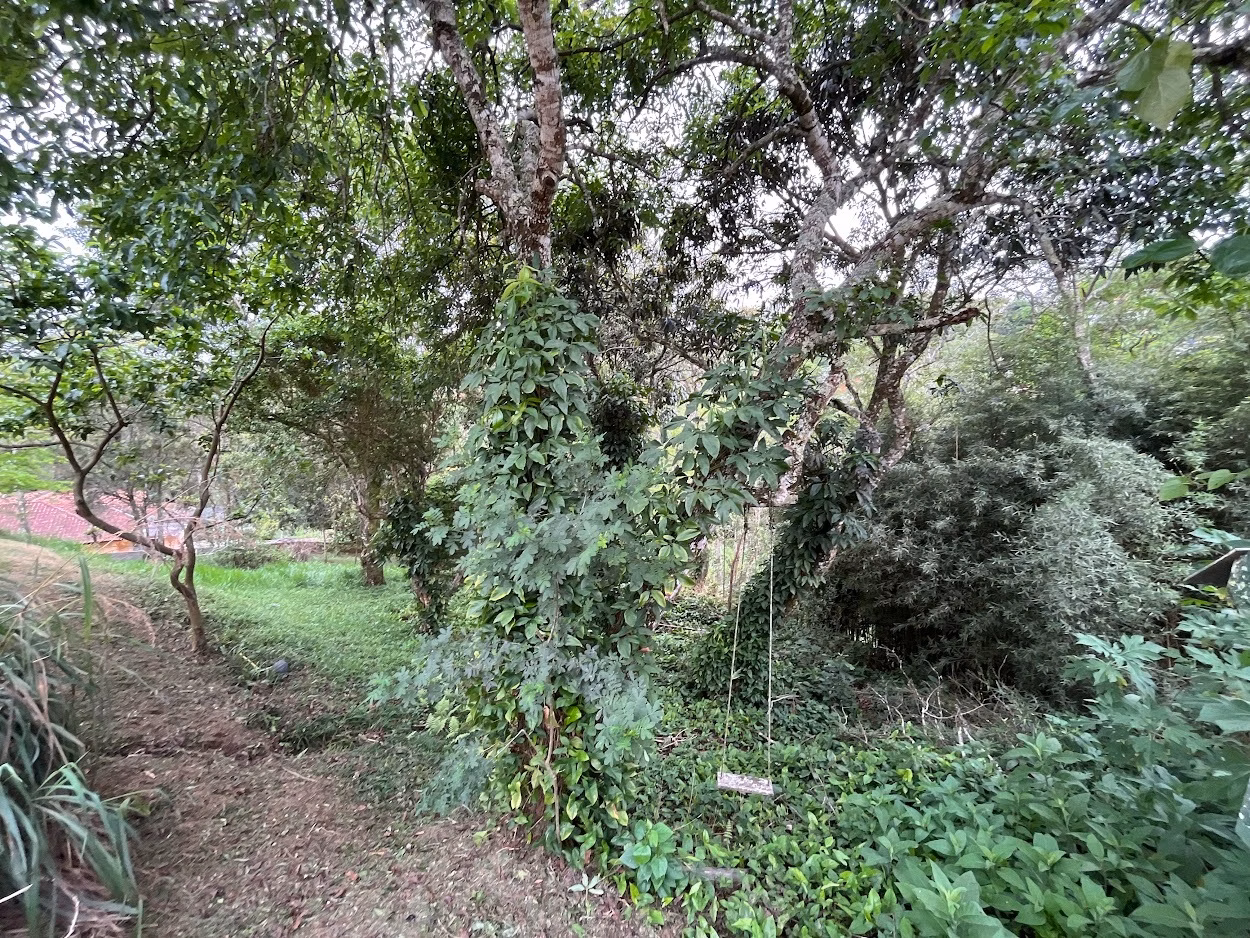Country home of 2 acres in São José dos Campos, SP, Brazil