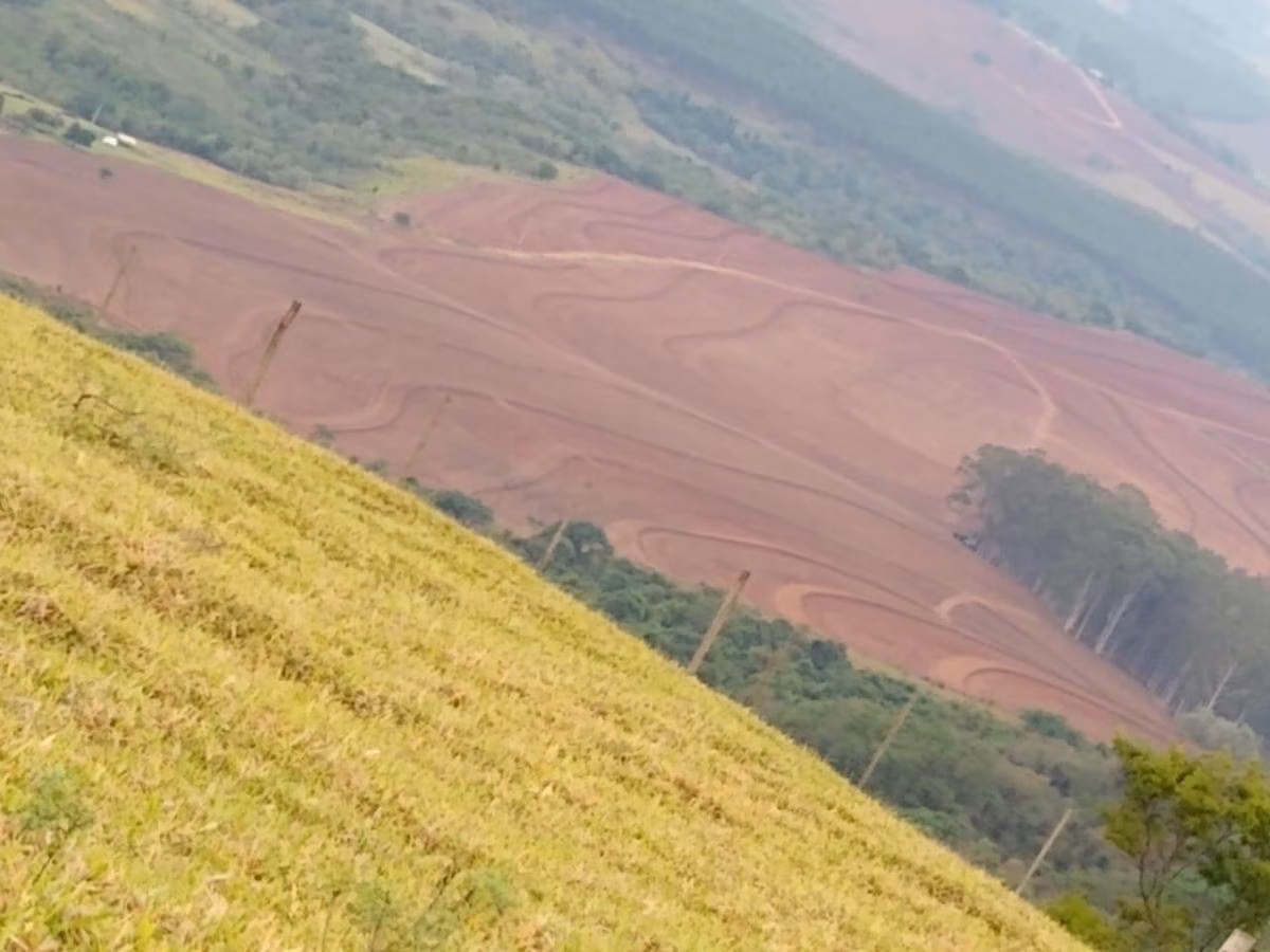 Fazenda à venda de 307 ha em Santa Maria da Serra, SP