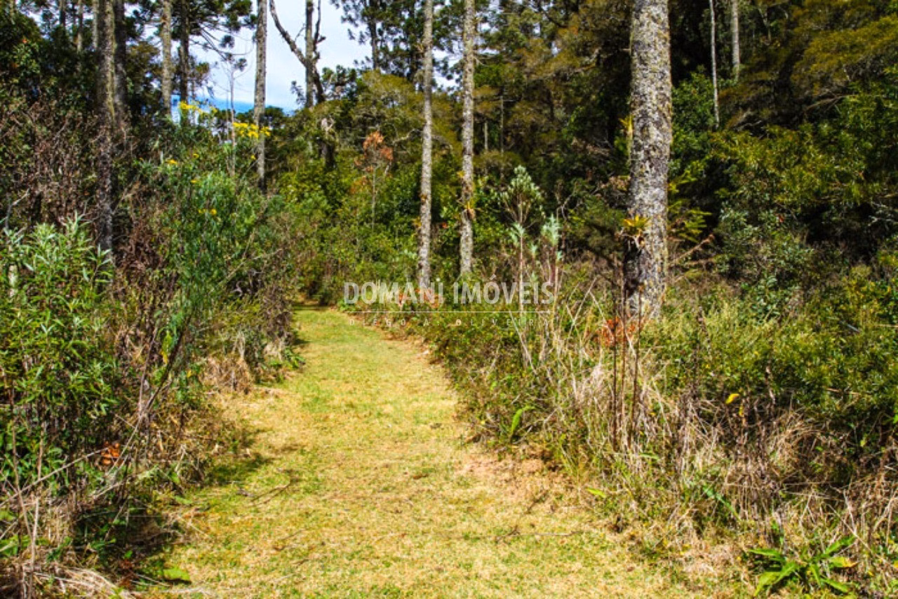 Plot of 3,200 m² in Campos do Jordão, SP, Brazil