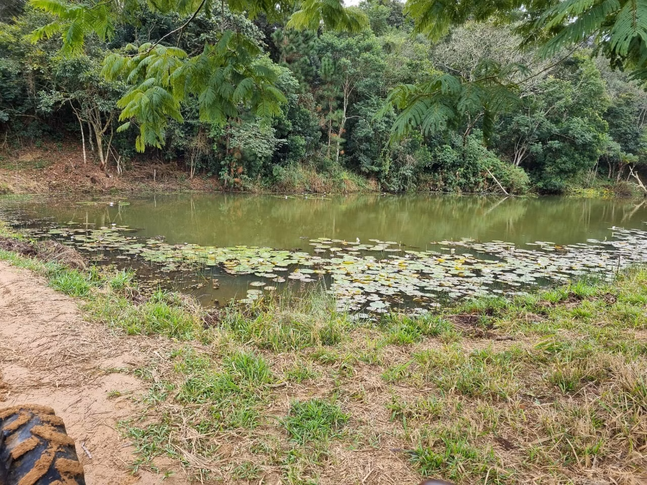 Sítio de 24 ha em São Miguel Arcanjo, SP