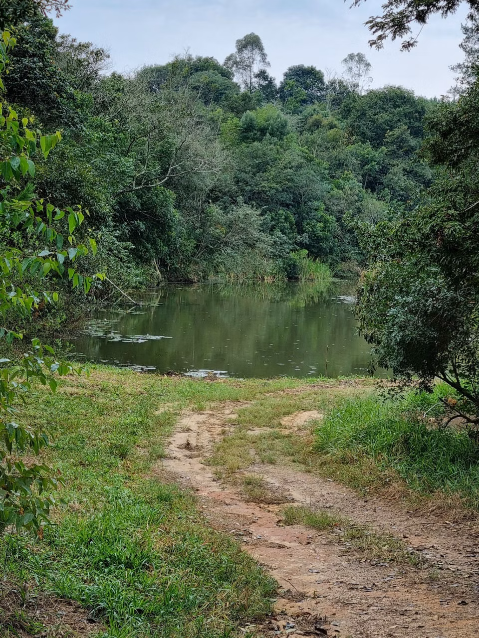 Sítio de 24 ha em São Miguel Arcanjo, SP
