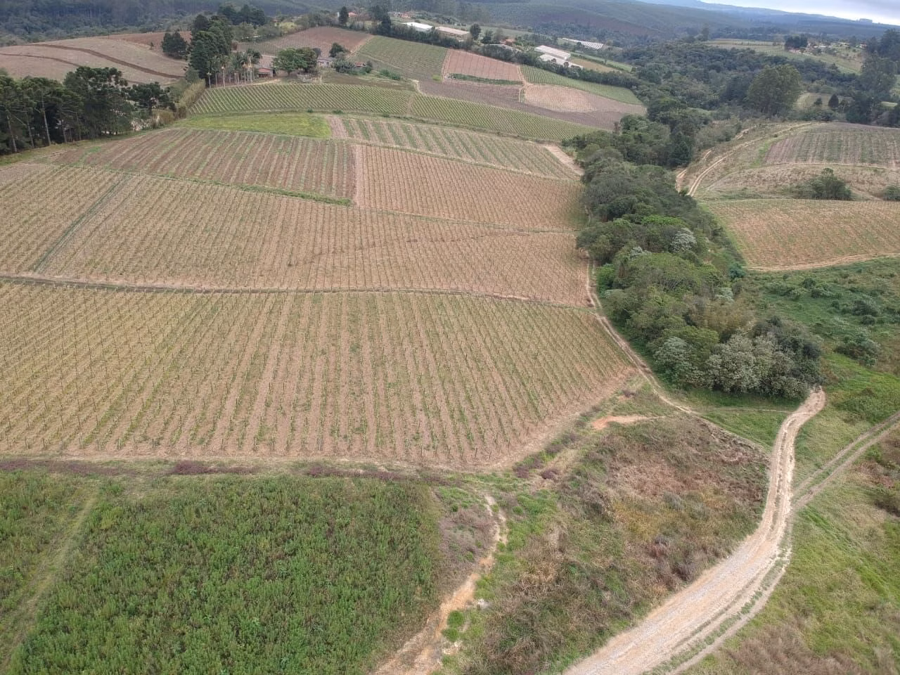 Sítio de 24 ha em São Miguel Arcanjo, SP
