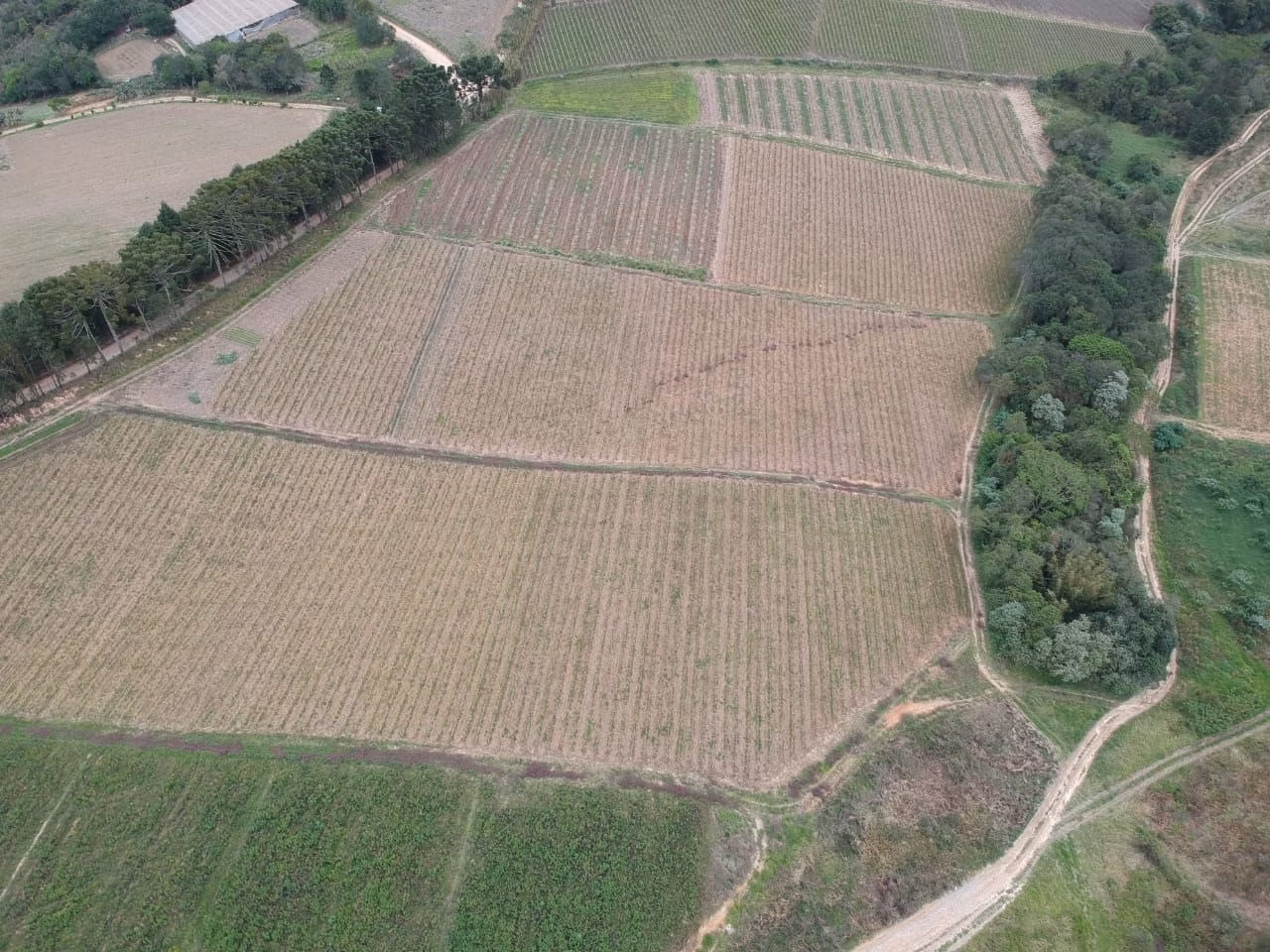 Small farm of 58 acres in São Miguel Arcanjo, SP, Brazil
