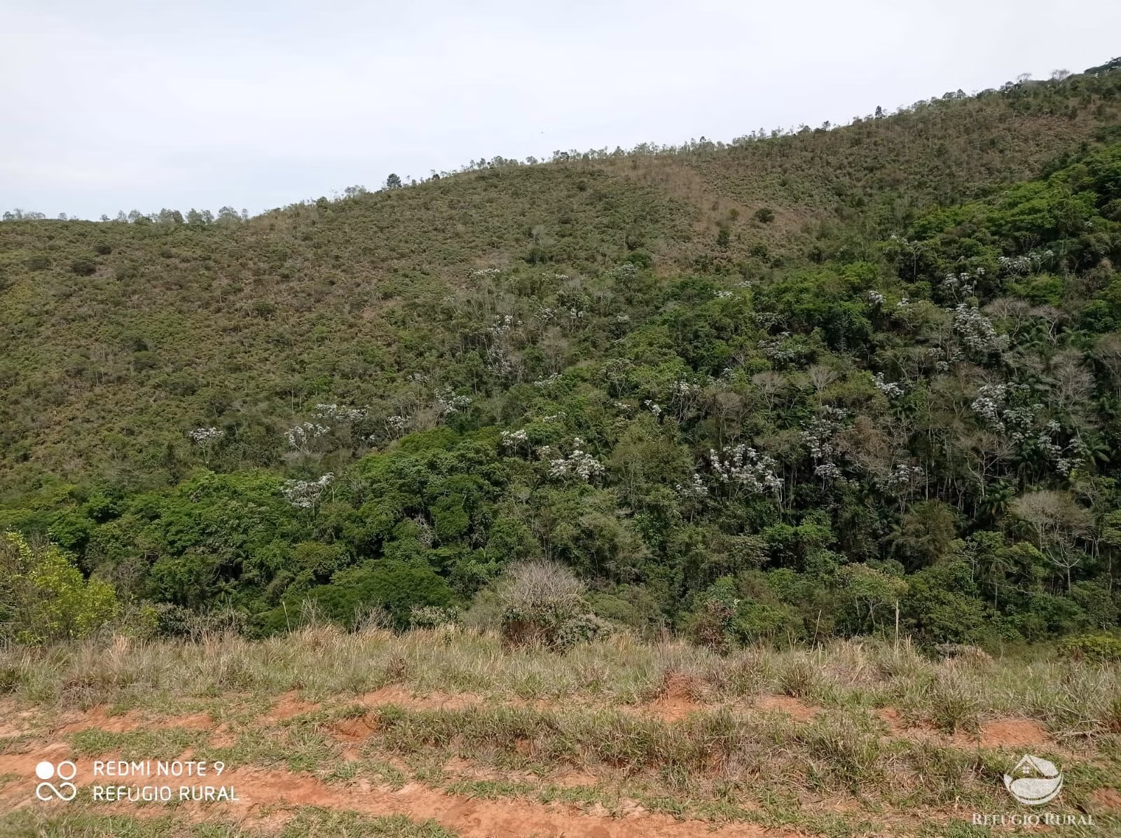 Farm of 418 acres in Monteiro Lobato, SP, Brazil