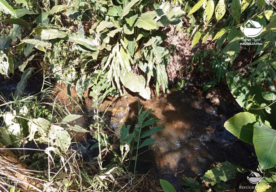 Farm of 418 acres in Monteiro Lobato, SP, Brazil