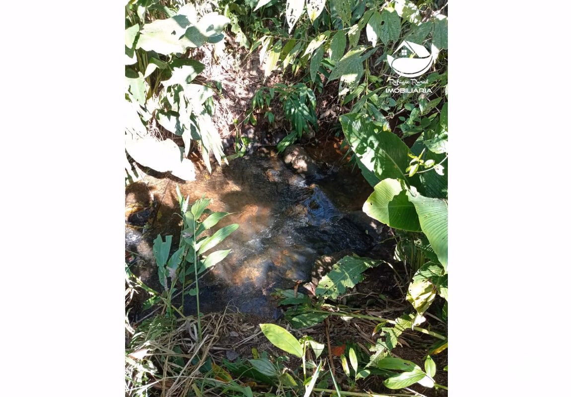 Farm of 418 acres in Monteiro Lobato, SP, Brazil