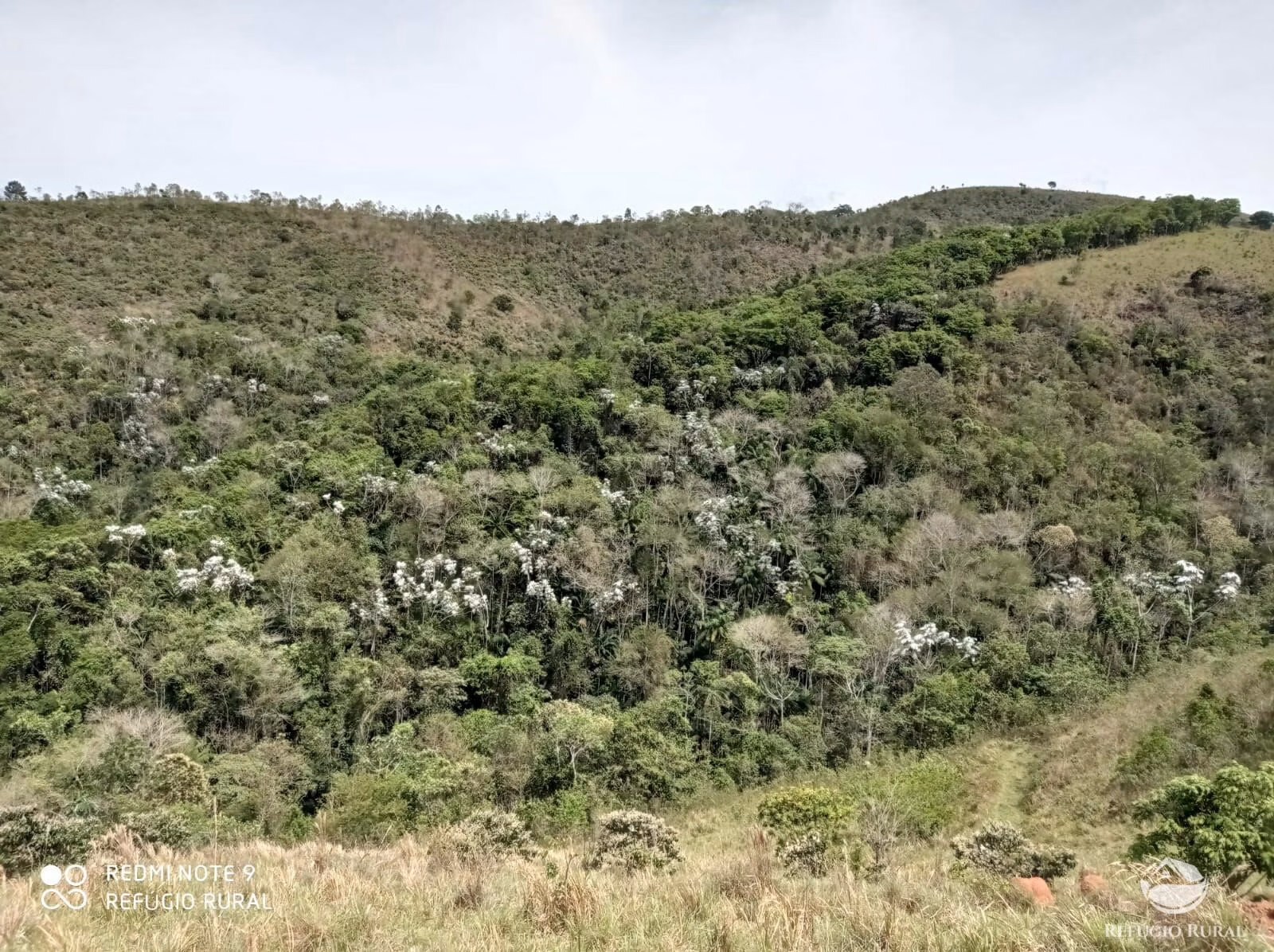 Fazenda de 169 ha em Monteiro Lobato, SP