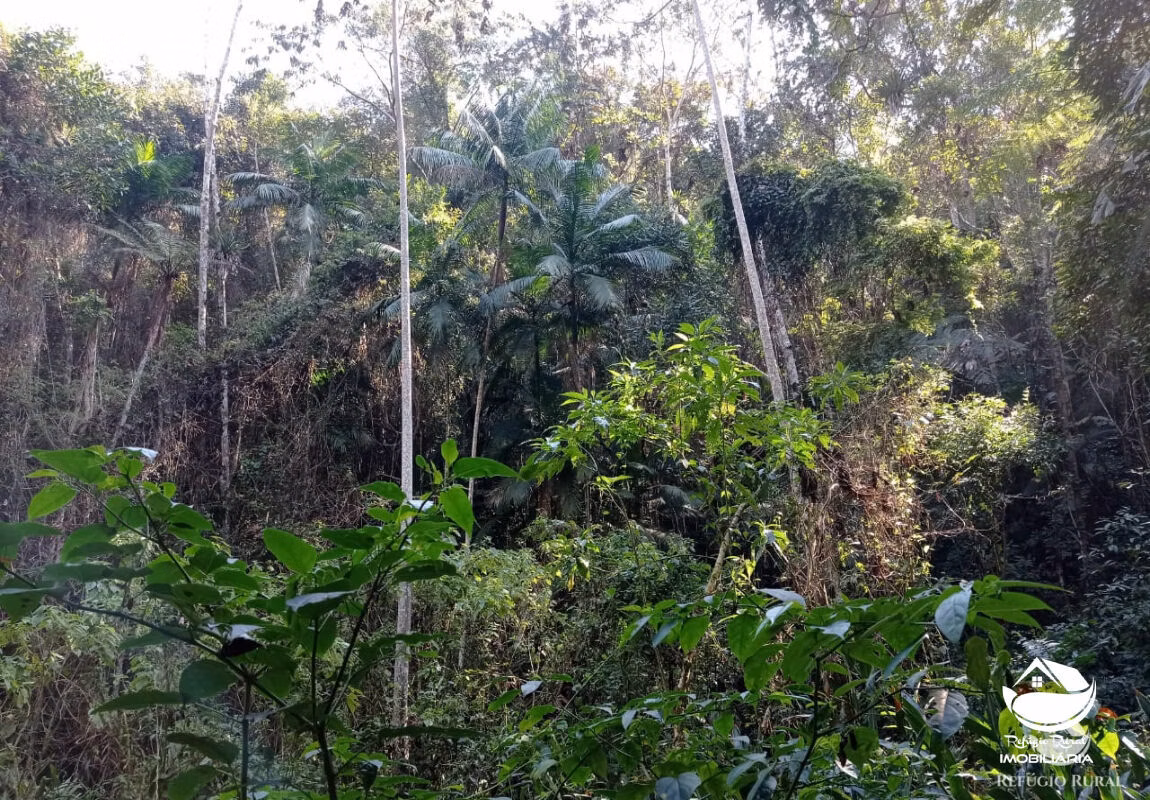 Farm of 418 acres in Monteiro Lobato, SP, Brazil